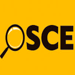  Programa de Prácticas Profesional - OSCE