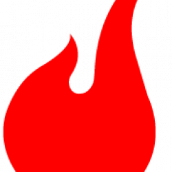 Programa de Prácticas CARDOM