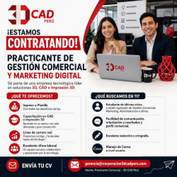 Programa de Prácticas CORPORACION 3D CAD PERU