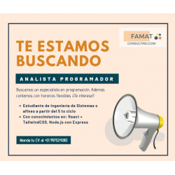 Programa de Prácticas FAMAT Consulting