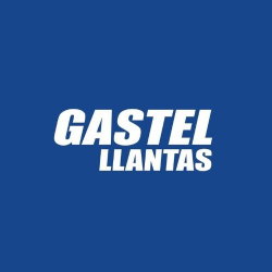 Programa de Prácticas GASTEL LLANTAS