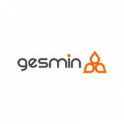  Programa de Prácticas PreProfesional - Gesmin