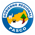 Programa de Prácticas GOBIERNO REGIONAL DE PASCO