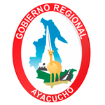  Programa de Prácticas PreProfesional - GOBIERNO REGIONAL AYACUCHO