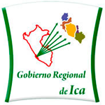 Progra de Prácticas GOBIERNO REGIONAL DE ICA