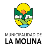  Programa de Prácticas - MUNICIPALIDAD DE LA MOLINA