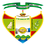 Programa de Prácticas MUNICIPALIDAD DE PUERTO BERMÚDEZ