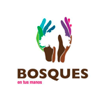 Programa de Prácticas PROGRAMA BOSQUES