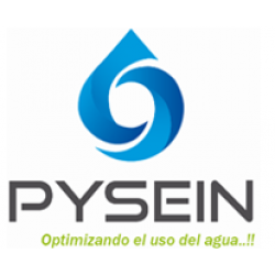 Programa de Prácticas PYSEIN