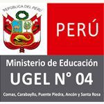  Programa de Prácticas PreProfesional - UGEL 04