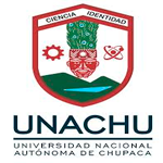 Programa de Prácticas UNIVERSIDAD DE CHUPACA - UNACHU